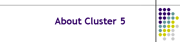 About Cluster 5